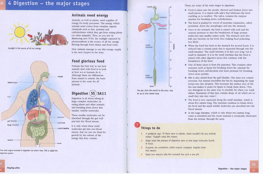 Fig 4.2b - 2002 The digestive system: columns reversed (Reprinted from Gunther Kress (2010) Multimodality (page 90) with permission from author)