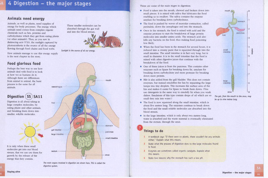 Fig 4.2c - 2002 The digestive system: rearranged (Reprinted from Gunther Kress (2010) Multimodality (page 90) with permission from author)